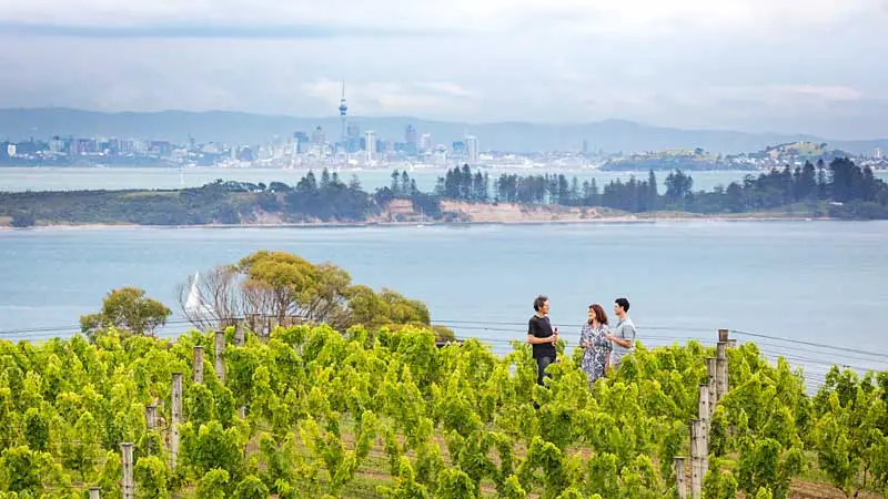Wycieczki Nowa Zelandia - Auckland, widok z Waiheke Island.
